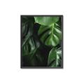 Picture of Greenleaf II _GroupedProduct_Rectangle_Portrait_Photography _GroupedProduct_Rectangle_Portrait_Canvas_Framed_