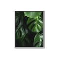 Picture of Greenleaf II _GroupedProduct_Rectangle_Portrait_Photography _GroupedProduct_Rectangle_Portrait_Canvas_Framed_