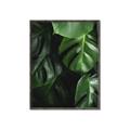 Picture of Greenleaf II _GroupedProduct_Rectangle_Portrait_Photography _GroupedProduct_Rectangle_Portrait_Canvas_Framed_
