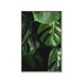 Picture of Greenleaf II _GroupedProduct_Rectangle_Portrait_Photography _GroupedProduct_Rectangle_Portrait_Canvas_Framed_