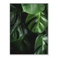 Picture of Greenleaf II _GroupedProduct_Rectangle_Portrait_Photography _GroupedProduct_Rectangle_Portrait_Canvas_Framed_