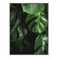 Picture of Greenleaf II _GroupedProduct_Rectangle_Portrait_Photography _GroupedProduct_Rectangle_Portrait_Canvas_Framed_