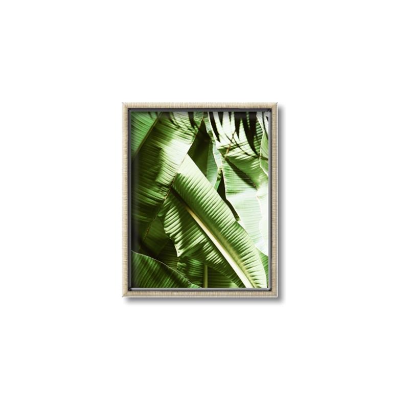 Picture of Greenleaf III _GroupedProduct_Rectangle_Portrait_Photography _GroupedProduct_Rectangle_Portrait_Canvas_Framed_