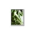 Picture of Greenleaf III _GroupedProduct_Rectangle_Portrait_Photography _GroupedProduct_Rectangle_Portrait_Canvas_Framed_