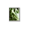 Picture of Greenleaf III _GroupedProduct_Rectangle_Portrait_Photography _GroupedProduct_Rectangle_Portrait_Canvas_Framed_