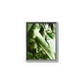 Picture of Greenleaf III _GroupedProduct_Rectangle_Portrait_Photography _GroupedProduct_Rectangle_Portrait_Canvas_Framed_