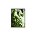 Picture of Greenleaf III _GroupedProduct_Rectangle_Portrait_Photography _GroupedProduct_Rectangle_Portrait_Canvas_Framed_