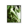 Picture of Greenleaf III _GroupedProduct_Rectangle_Portrait_Photography _GroupedProduct_Rectangle_Portrait_Canvas_Framed_