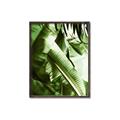 Picture of Greenleaf III _GroupedProduct_Rectangle_Portrait_Photography _GroupedProduct_Rectangle_Portrait_Canvas_Framed_