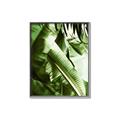Picture of Greenleaf III _GroupedProduct_Rectangle_Portrait_Photography _GroupedProduct_Rectangle_Portrait_Canvas_Framed_