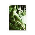 Picture of Greenleaf III _GroupedProduct_Rectangle_Portrait_Photography _GroupedProduct_Rectangle_Portrait_Canvas_Framed_