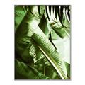 Picture of Greenleaf III _GroupedProduct_Rectangle_Portrait_Photography _GroupedProduct_Rectangle_Portrait_Canvas_Framed_