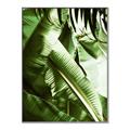 Picture of Greenleaf III _GroupedProduct_Rectangle_Portrait_Photography _GroupedProduct_Rectangle_Portrait_Canvas_Framed_