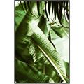 Picture of Greenleaf III _GroupedProduct_Rectangle_Portrait_Photography _GroupedProduct_Rectangle_Portrait_Canvas_Framed_