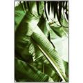 Picture of Greenleaf III _GroupedProduct_Rectangle_Portrait_Photography _GroupedProduct_Rectangle_Portrait_Canvas_Framed_