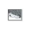 Picture of High Pines  _GroupedProduct_Rectangle_Landscape_Photography _GroupedProduct_Rectangle_Landscape_Canvas_Framed_