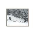 Picture of High Pines  _GroupedProduct_Rectangle_Landscape_Photography _GroupedProduct_Rectangle_Landscape_Canvas_Framed_