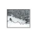 Picture of High Pines  _GroupedProduct_Rectangle_Landscape_Photography _GroupedProduct_Rectangle_Landscape_Canvas_Framed_
