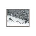 Picture of High Pines  _GroupedProduct_Rectangle_Landscape_Photography _GroupedProduct_Rectangle_Landscape_Canvas_Framed_