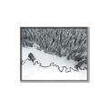 Picture of High Pines  _GroupedProduct_Rectangle_Landscape_Photography _GroupedProduct_Rectangle_Landscape_Canvas_Framed_