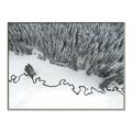 Picture of High Pines  _GroupedProduct_Rectangle_Landscape_Photography _GroupedProduct_Rectangle_Landscape_Canvas_Framed_