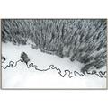 Picture of High Pines  _GroupedProduct_Rectangle_Landscape_Photography _GroupedProduct_Rectangle_Landscape_Canvas_Framed_