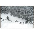 Picture of High Pines  _GroupedProduct_Rectangle_Landscape_Photography _GroupedProduct_Rectangle_Landscape_Canvas_Framed_