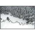 Picture of High Pines  _GroupedProduct_Rectangle_Landscape_Photography _GroupedProduct_Rectangle_Landscape_Canvas_Framed_