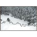 Picture of High Pines  _GroupedProduct_Rectangle_Landscape_Photography _GroupedProduct_Rectangle_Landscape_Canvas_Framed_