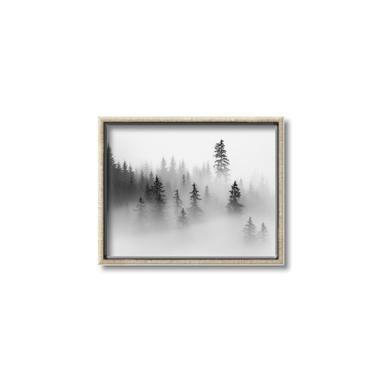 Picture of In the Fog _GroupedProduct_Rectangle_Landscape_Photography _GroupedProduct_Rectangle_Landscape_Canvas_Framed_