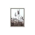Picture of In the Fields _GroupedProduct_Rectangle_Portrait_Photography _GroupedProduct_Rectangle_Portrait_Canvas_Framed_