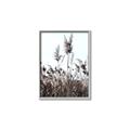 Picture of In the Fields _GroupedProduct_Rectangle_Portrait_Photography _GroupedProduct_Rectangle_Portrait_Canvas_Framed_
