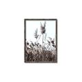 Picture of In the Fields _GroupedProduct_Rectangle_Portrait_Photography _GroupedProduct_Rectangle_Portrait_Canvas_Framed_