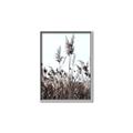 Picture of In the Fields _GroupedProduct_Rectangle_Portrait_Photography _GroupedProduct_Rectangle_Portrait_Canvas_Framed_