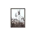 Picture of In the Fields _GroupedProduct_Rectangle_Portrait_Photography _GroupedProduct_Rectangle_Portrait_Canvas_Framed_
