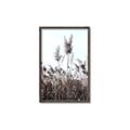 Picture of In the Fields _GroupedProduct_Rectangle_Portrait_Photography _GroupedProduct_Rectangle_Portrait_Canvas_Framed_