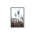 Picture of In the Fields _GroupedProduct_Rectangle_Portrait_Photography _GroupedProduct_Rectangle_Portrait_Canvas_Framed_