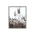 Picture of In the Fields _GroupedProduct_Rectangle_Portrait_Photography _GroupedProduct_Rectangle_Portrait_Canvas_Framed_