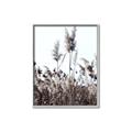 Picture of In the Fields _GroupedProduct_Rectangle_Portrait_Photography _GroupedProduct_Rectangle_Portrait_Canvas_Framed_