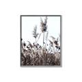Picture of In the Fields _GroupedProduct_Rectangle_Portrait_Photography _GroupedProduct_Rectangle_Portrait_Canvas_Framed_