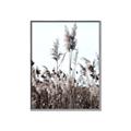 Picture of In the Fields _GroupedProduct_Rectangle_Portrait_Photography _GroupedProduct_Rectangle_Portrait_Canvas_Framed_