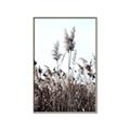 Picture of In the Fields _GroupedProduct_Rectangle_Portrait_Photography _GroupedProduct_Rectangle_Portrait_Canvas_Framed_