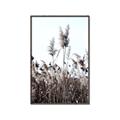 Picture of In the Fields _GroupedProduct_Rectangle_Portrait_Photography _GroupedProduct_Rectangle_Portrait_Canvas_Framed_