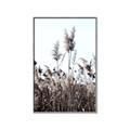 Picture of In the Fields _GroupedProduct_Rectangle_Portrait_Photography _GroupedProduct_Rectangle_Portrait_Canvas_Framed_