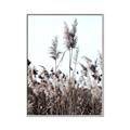 Picture of In the Fields _GroupedProduct_Rectangle_Portrait_Photography _GroupedProduct_Rectangle_Portrait_Canvas_Framed_