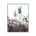 Picture of In the Fields _GroupedProduct_Rectangle_Portrait_Photography _GroupedProduct_Rectangle_Portrait_Canvas_Framed_