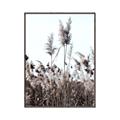 Picture of In the Fields _GroupedProduct_Rectangle_Portrait_Photography _GroupedProduct_Rectangle_Portrait_Canvas_Framed_