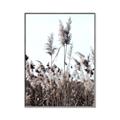 Picture of In the Fields _GroupedProduct_Rectangle_Portrait_Photography _GroupedProduct_Rectangle_Portrait_Canvas_Framed_