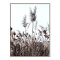 Picture of In the Fields _GroupedProduct_Rectangle_Portrait_Photography _GroupedProduct_Rectangle_Portrait_Canvas_Framed_