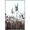 Picture of In the Fields _GroupedProduct_Rectangle_Portrait_Photography _GroupedProduct_Rectangle_Portrait_Canvas_Framed_